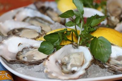 Oyster Festival programme jam-packed
