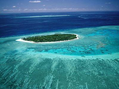 Call for speed limits on Great Barrier Reef to protect whales