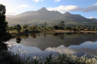 Garden Route Botanical Garden tour