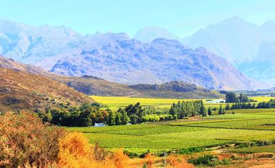 Biannual figures on farm attacks released