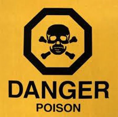 5 killed by carbon monoxide poisoning