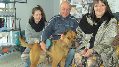 New home for abused dog