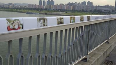South Korea's youth suicide rate falls slightly