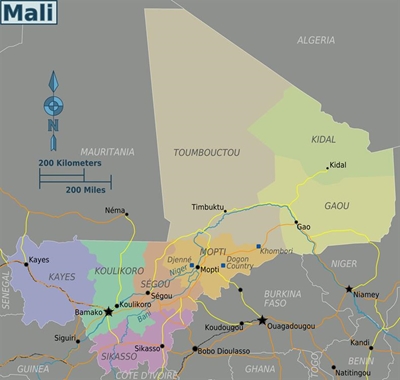 French soldier killed in Mali suicide attack