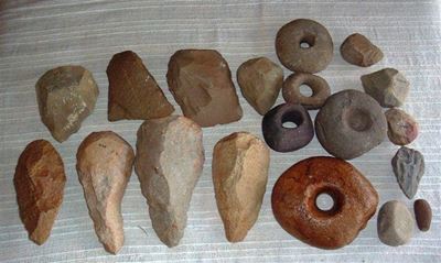 Archaeological collection donated
