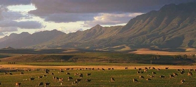 SA puts rural land to work