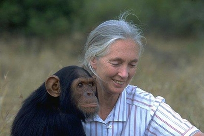 Great apes face extinction: Conservationist Jane Goodall