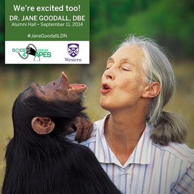 Great apes face extinction: Conservationist Jane Goodall