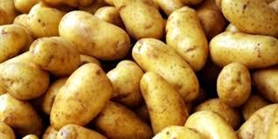 Russia bans import of processed Ukrainian fruit and vegetables