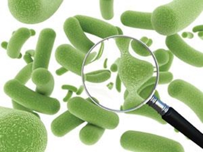 Why take probiotics?