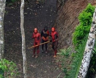 Isolated Indigenous Make Contact With Outside World In Brazil Mossel Bay Advertiser Isolated Indigenous Make Contact With Outside World In Brazil Mossel Bay Advertiser