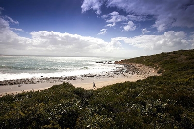 Oyster Catcher trail upgrade completed