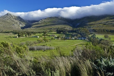 'Nkwinti’s 50/50 land plan will not benefit farm workers'