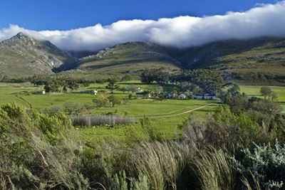 'Nkwinti’s 50/50 land plan will not benefit farm workers'