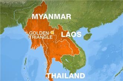 Myanmar seizes drugs worth $7.3m buried in 'Golden Triangle'