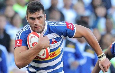 Springbok 'young guns' out to pummel Pumas