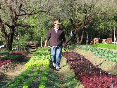 Lello reaps from a sustainable lifestyle