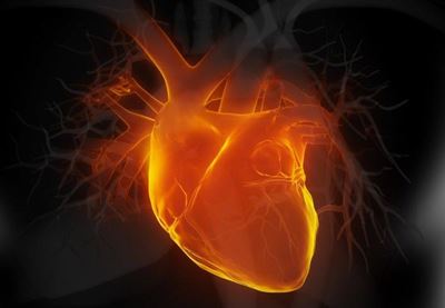 Wrong patient gets heart operation: Report