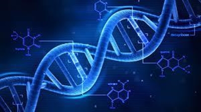DNA shows Japanese fathered 15 surrogate babies