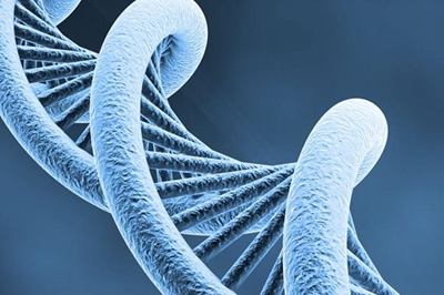 DNA shows Japanese fathered 15 surrogate babies