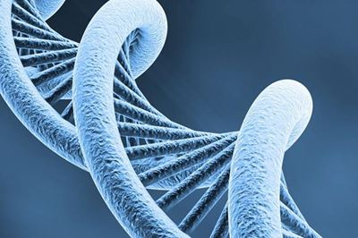 DNA shows Japanese fathered 15 surrogate babies