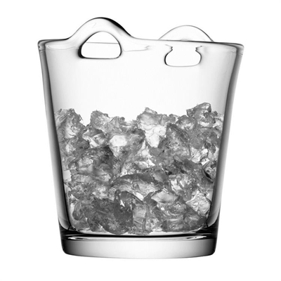 UN diplomats banned from ice bucket challenge