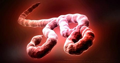 Japan ready to offer trial Ebola drug