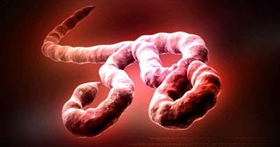 Japan ready to offer trial Ebola drug