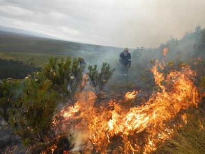 23 500 hektaar in brand verwoes