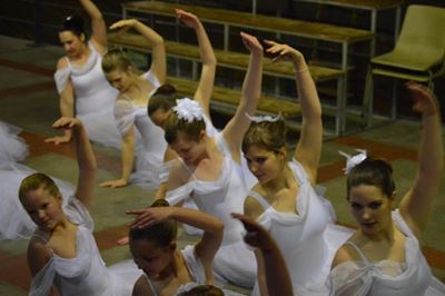 Leerders blink uit by Eisteddfod