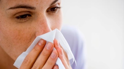 Wet winter conditions to increase hayfever