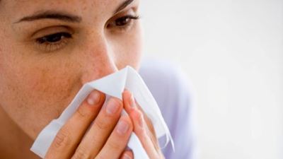 Wet winter conditions to increase hayfever