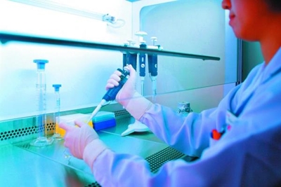 Japan lab unable to replicate 'stem cell' findings