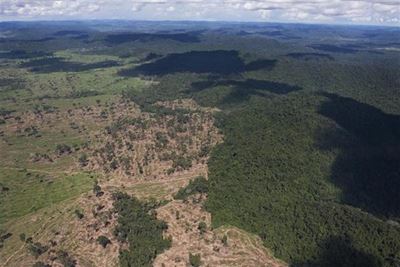 Brazil cracks 'biggest' Amazon deforestation gang