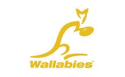 Wounded Wallabies look to rebound against Springboks