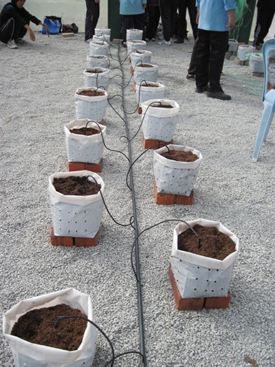 What is drip fertigation?