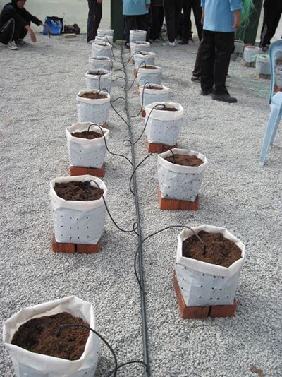 What is drip fertigation?