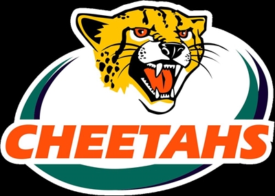 Cheetahs target lacklustre Sharks