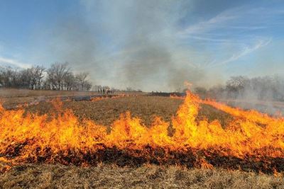 Controlled fire today and tomorrow