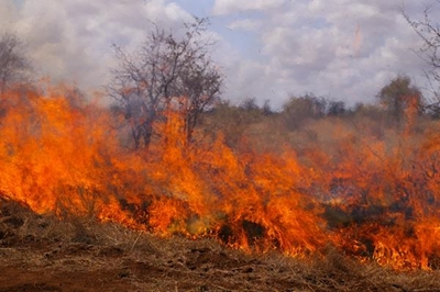 6 days of fire at Kruger Park