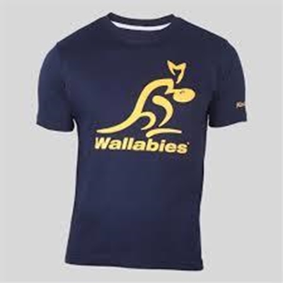 Wallabies seek new momentum agaist Boks