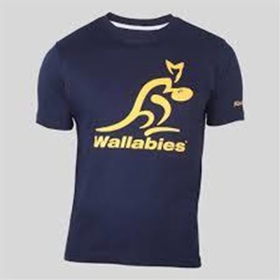 Wallabies seek new momentum agaist Boks