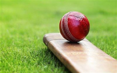 Under 13 Cricket Festival in Mossel Bay