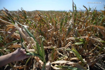 Drought worsens China's long-term water crisis