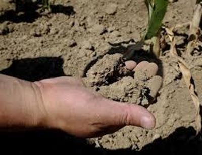 Drought worsens China's long-term water crisis