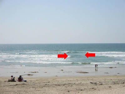 Spring Tide rip currents almost claim lives