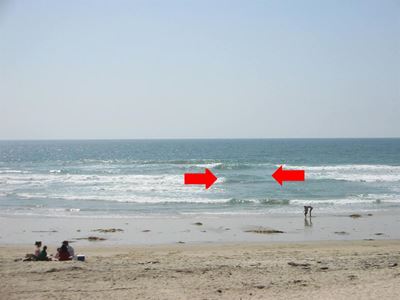 Spring Tide rip currents almost claim lives