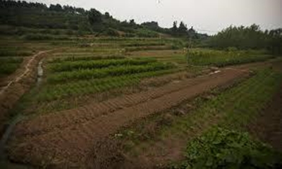 Let's get real about land use