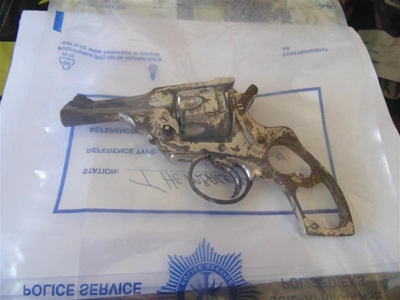 House robbery attempt fails