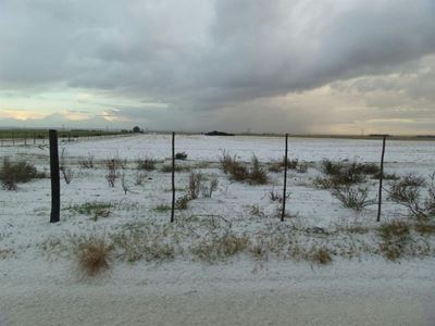 Groot skade op plase weens hael